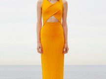 Dion Lee Resort 2016