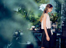 Editor's Pick: Lantern Sense Spring 2016
