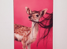 Ryan McGinley's Body Loud Exhibition