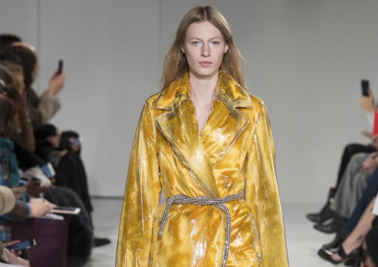 Calvin Klein Fall 2017 RTW