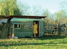 Little Miss by Amber Pinkerton