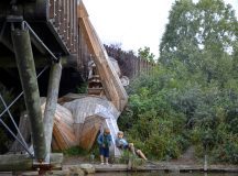Meet The Forgotten Wooden Giants of Copenhagen