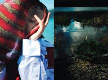 My Land by Kodai Ikemitsu