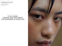 The Diamonds in Your Eyes by Caren Detje