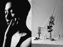Shades of Grey by Jonathan VDKShades of Grey by Jonathan VDK